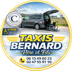 logo mini